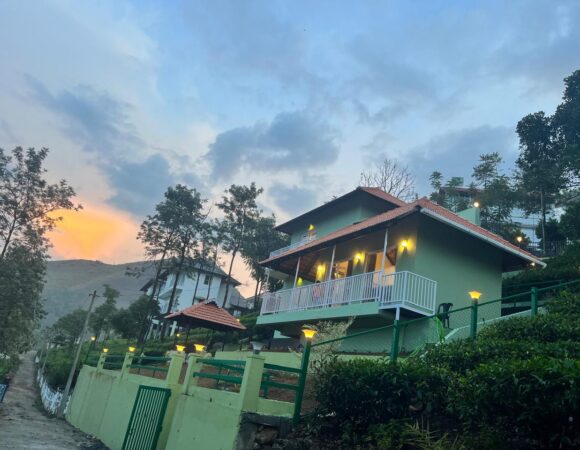 Green Lushy by Ifstays