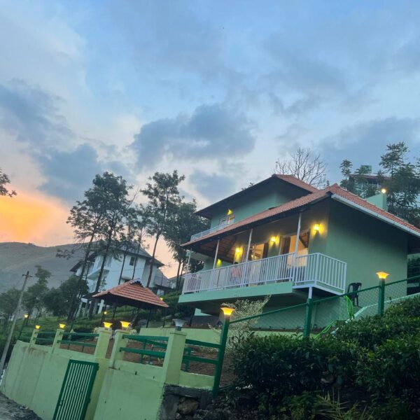 Green Lushy by Ifstays