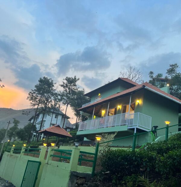 Green Lushy by Ifstays