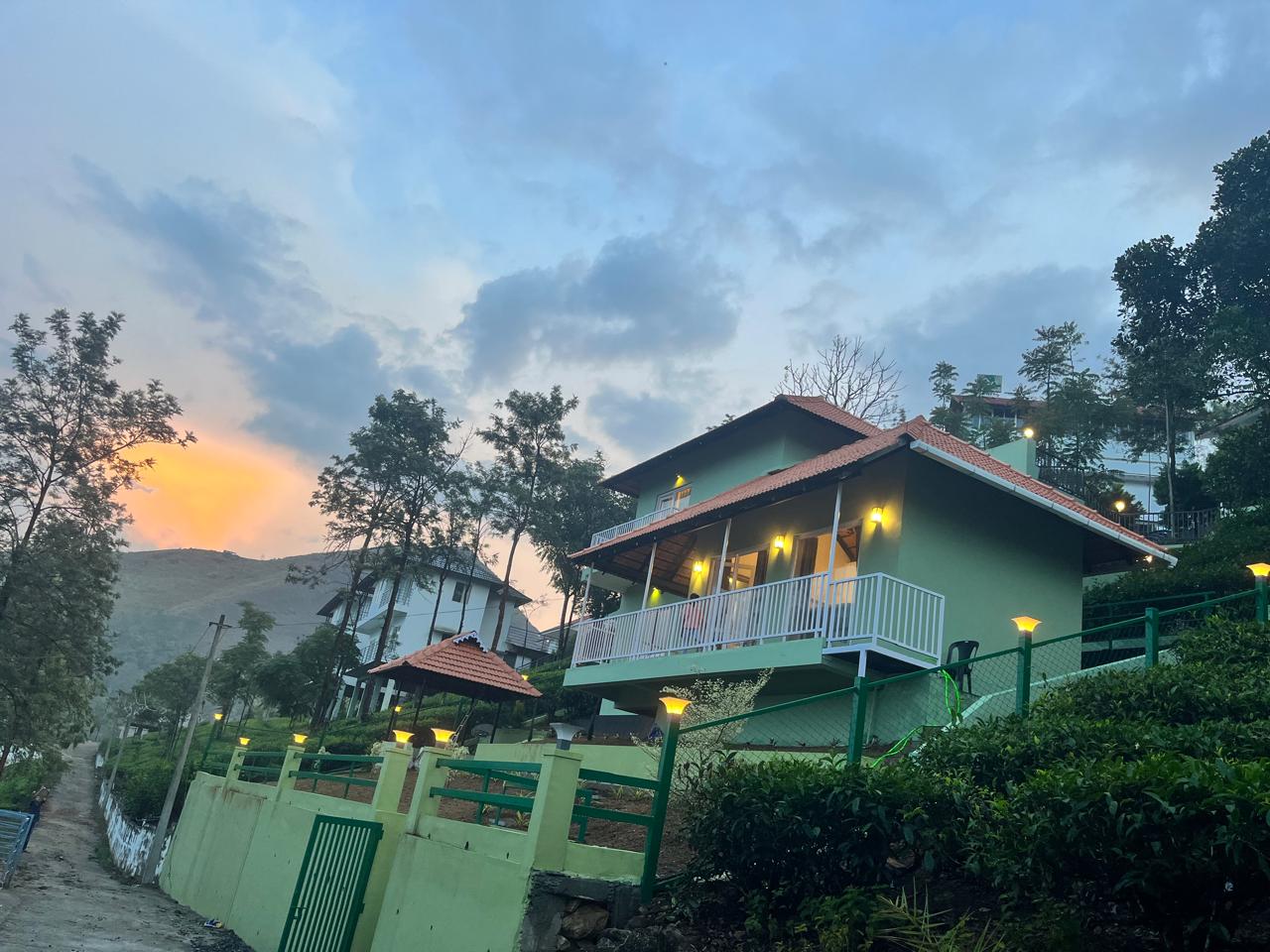 Green Lushy by Ifstays