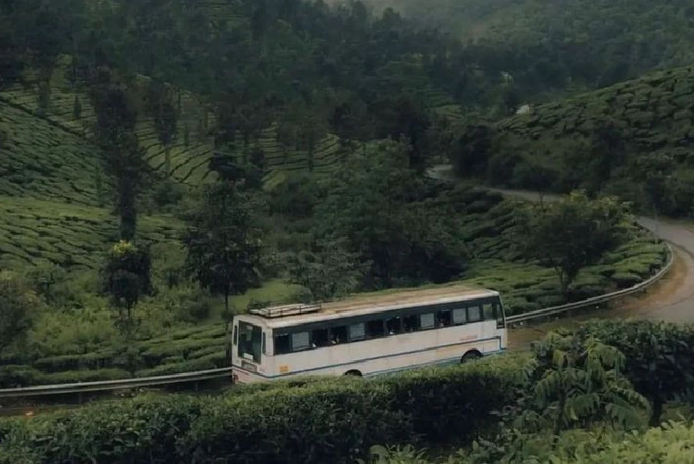 Nature-Themed Experiences